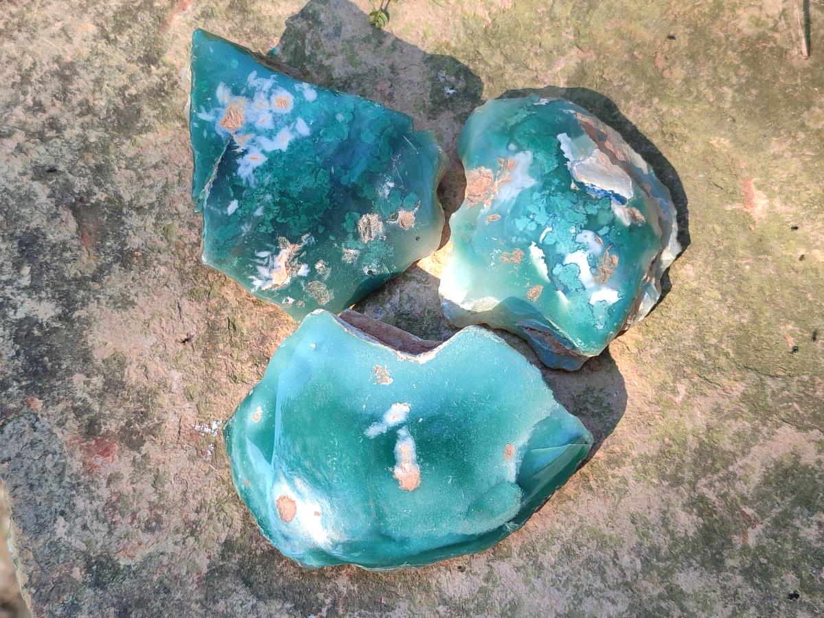 Polished On One Side Mtorolite Chrysoprase Slices x 12 From Mutorashanga, Zimbabwe - Toprock Gemstones and Minerals 