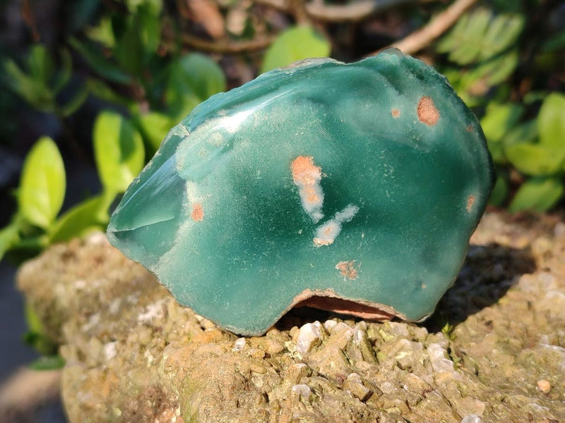 Polished On One Side Mtorolite Chrysoprase Slices x 12 From Mutorashanga, Zimbabwe - Toprock Gemstones and Minerals 