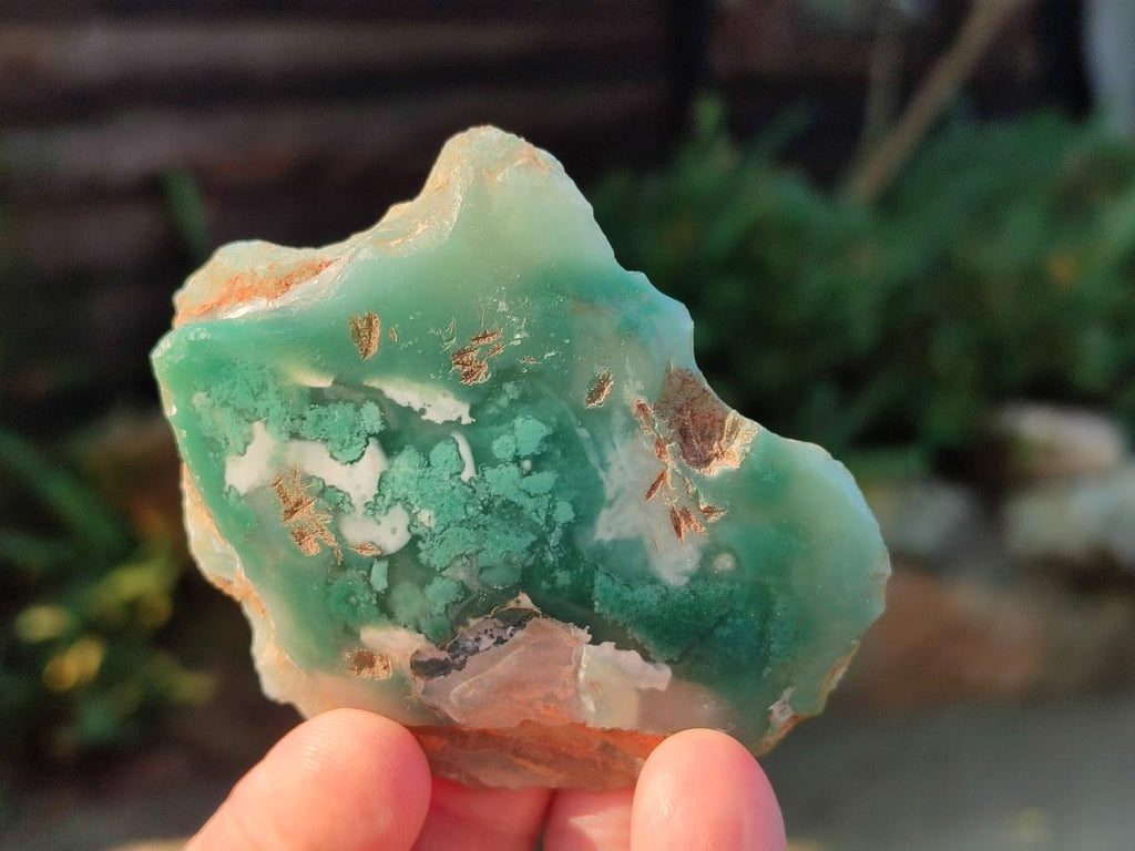 Polished On One Side Mtorolite Chrysoprase Slices x 12 From Mutorashanga, Zimbabwe - Toprock Gemstones and Minerals 