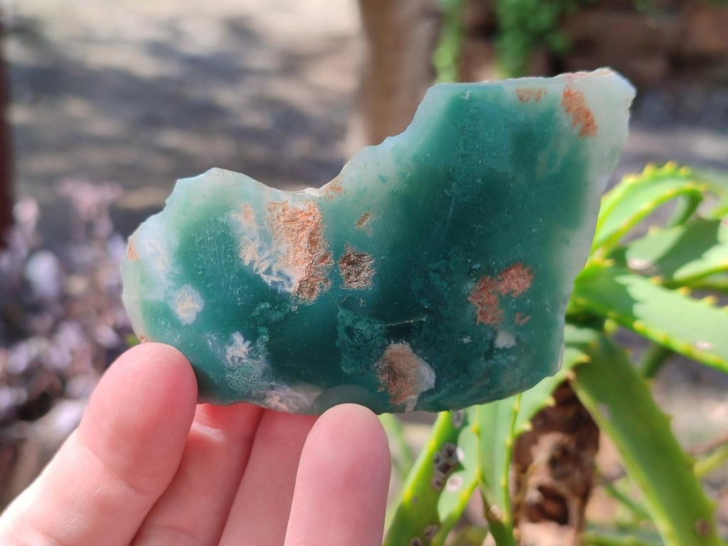Polished On One Side Mtorolite Chrysoprase Slices x 12 From Mutorashanga, Zimbabwe - Toprock Gemstones and Minerals 