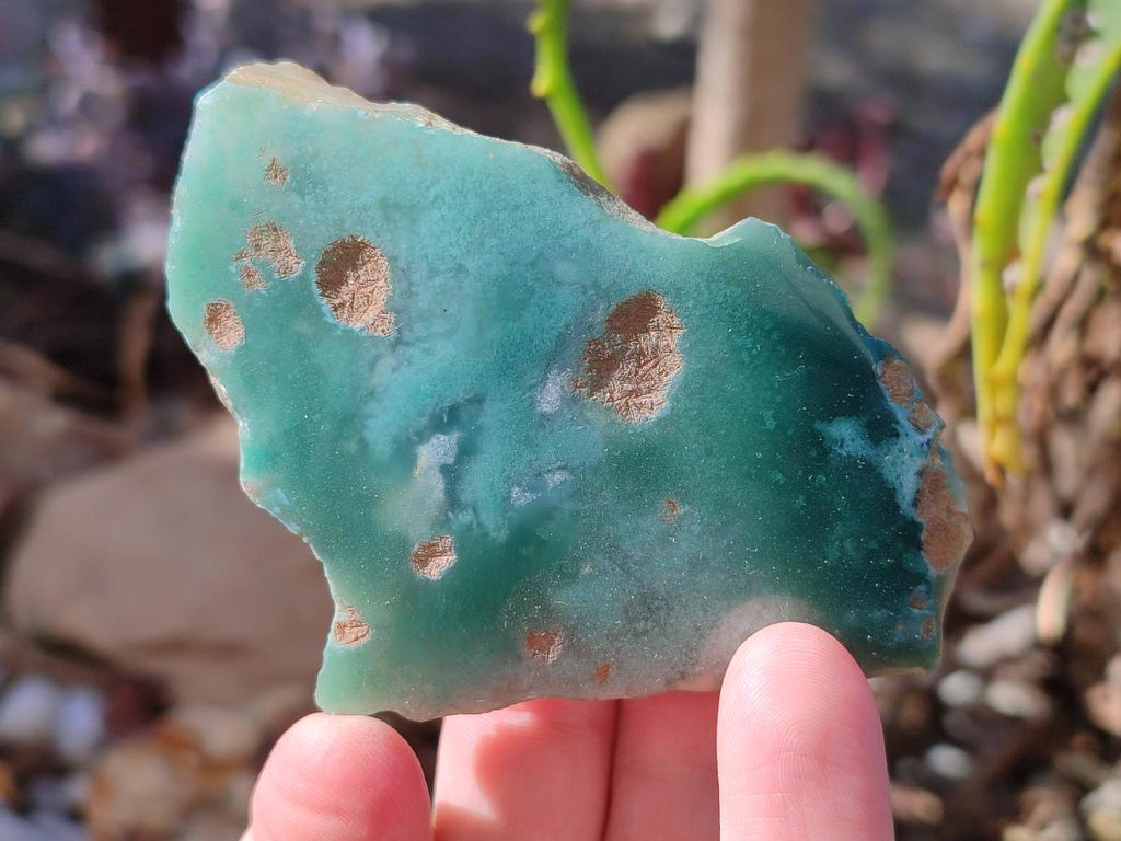 Polished On One Side Mtorolite Chrysoprase Slices x 12 From Mutorashanga, Zimbabwe - Toprock Gemstones and Minerals 