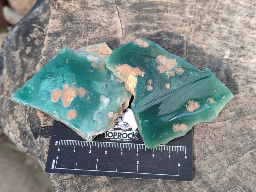 Polished On One Side Mtorolite Chrysoprase Slices x 12 From Mutorashanga, Zimbabwe - Toprock Gemstones and Minerals 