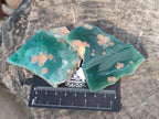 Polished On One Side Mtorolite Chrysoprase Slices x 12 From Mutorashanga, Zimbabwe - Toprock Gemstones and Minerals 