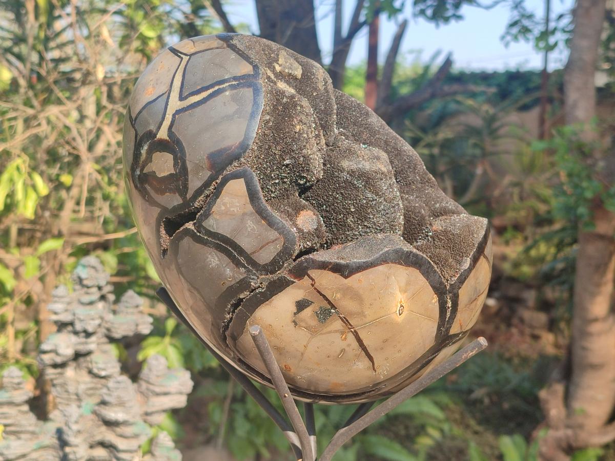 Polished XL Septerye Sauvage "Dragons Egg" Geode x 1 From Mahajanga, Madagascar - Toprock Gemstones and Minerals 