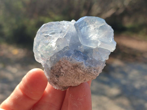 Natural Blue Celestite Specimens x 39 From Sakoany, Madagascar - Toprock Gemstones and Minerals 