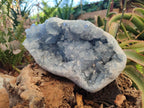 Natural Large Blue Celestite Geode Specimen x 1 From Sakoany, Madagascar - Toprock Gemstones and Minerals 