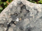 Natural Large Blue Celestite Geode Specimen x 1 From Sakoany, Madagascar - Toprock Gemstones and Minerals 