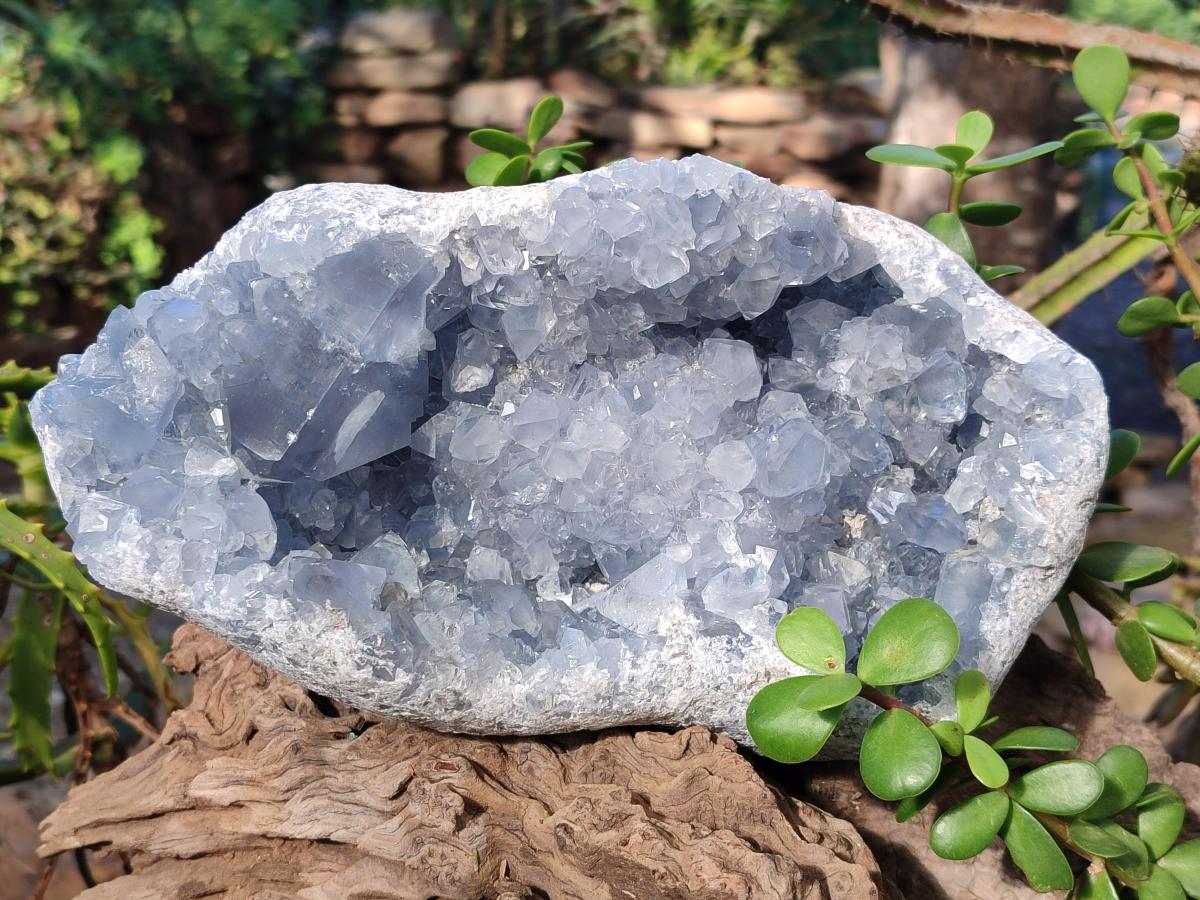 Natural Large Blue Celestite Geode Specimen x 1 From Sakoany, Madagascar - Toprock Gemstones and Minerals 