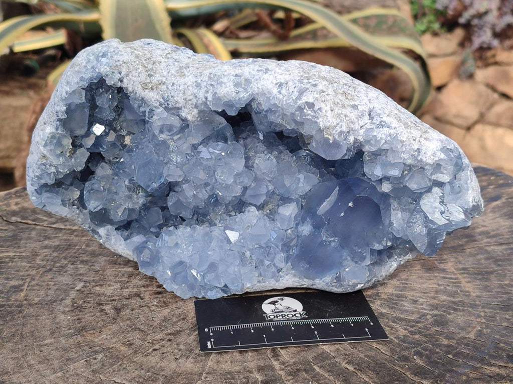 Natural Large Blue Celestite Geode Specimen x 1 From Sakoany, Madagascar - Toprock Gemstones and Minerals 