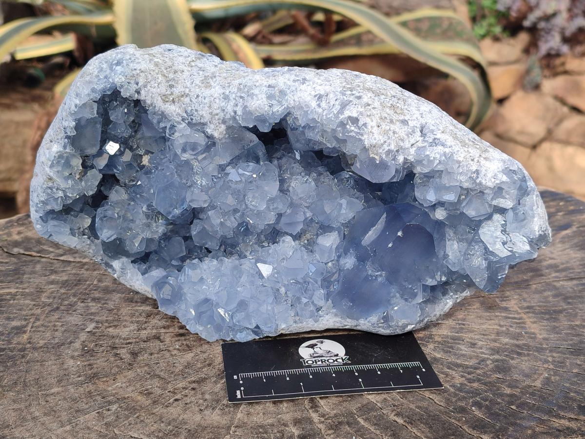 Natural Large Blue Celestite Geode Specimen x 1 From Sakoany, Madagascar - Toprock Gemstones and Minerals 