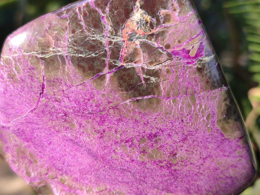 Polished Stichtite Free Forms x 4 From Barberton, South Africa - Toprock Gemstones and Minerals 