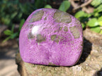 Polished Stichtite Free Forms x 4 From Barberton, South Africa - Toprock Gemstones and Minerals 