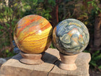 Polished Ocean Jasper Spheres x 2 From Northwest Coast, Madagascar - Toprock Gemstones and Minerals 
