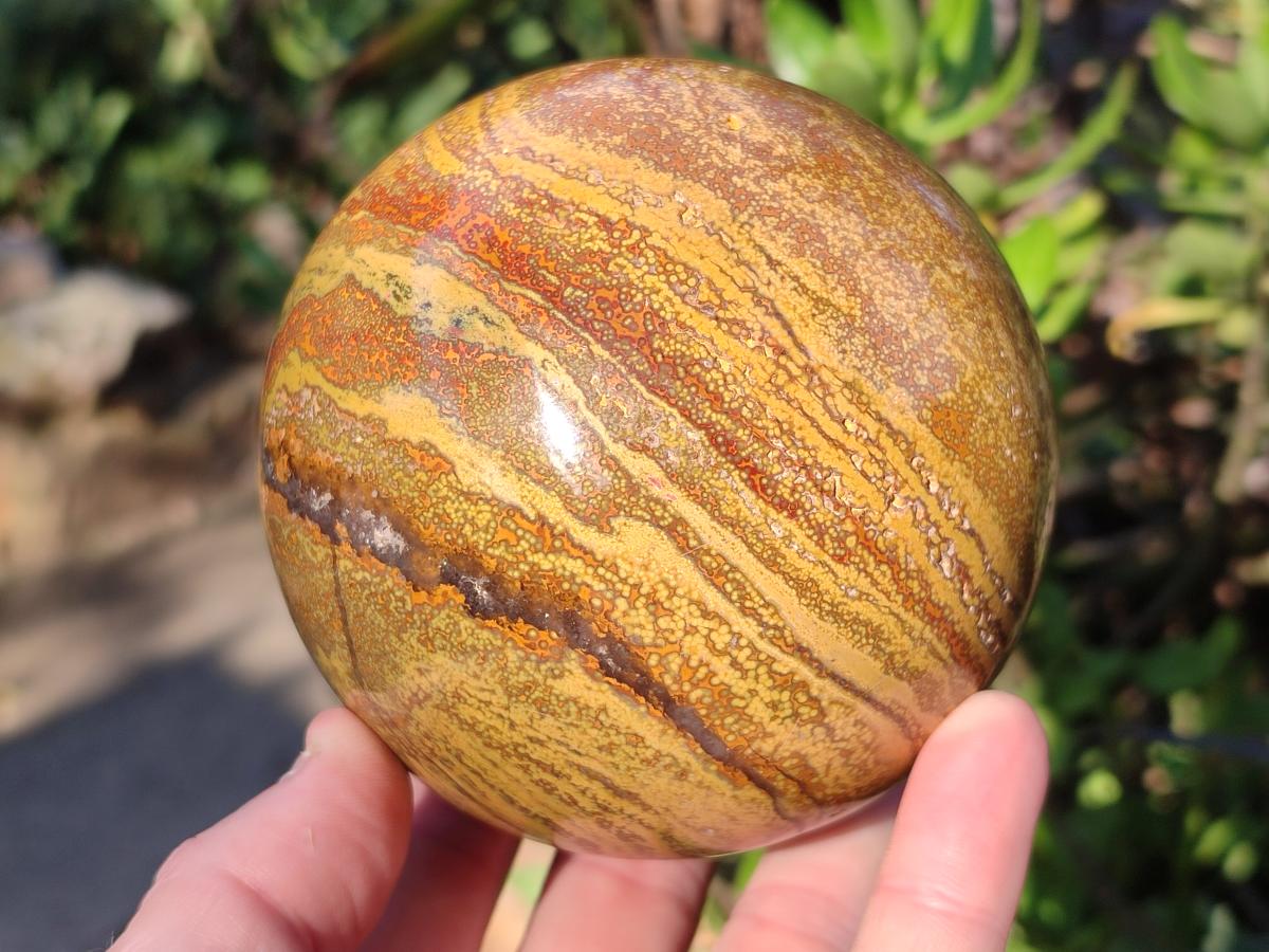 Polished Ocean Jasper Spheres x 2 From Northwest Coast, Madagascar - Toprock Gemstones and Minerals 