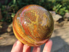 Polished Ocean Jasper Spheres x 2 From Northwest Coast, Madagascar - Toprock Gemstones and Minerals 