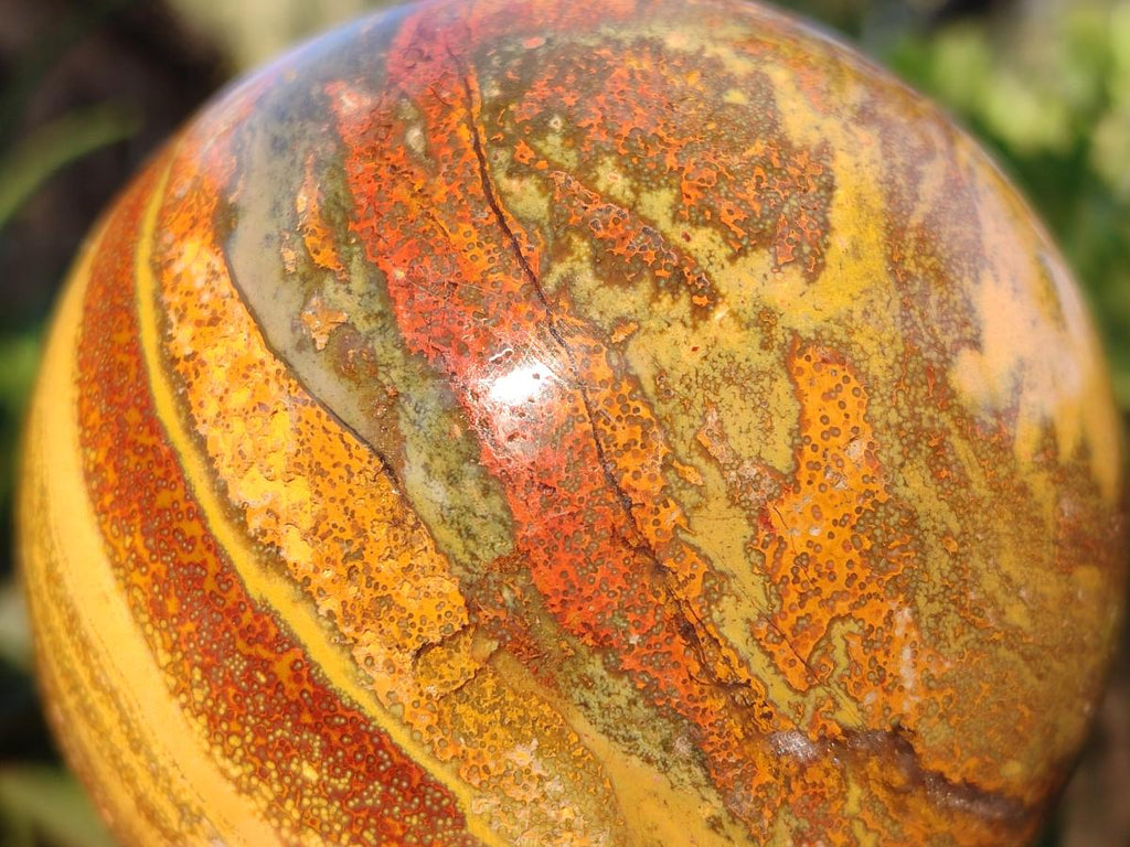 Polished Ocean Jasper Spheres x 2 From Northwest Coast, Madagascar - Toprock Gemstones and Minerals 