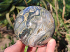 Polished Ocean Jasper Spheres x 2 From Northwest Coast, Madagascar - Toprock Gemstones and Minerals 