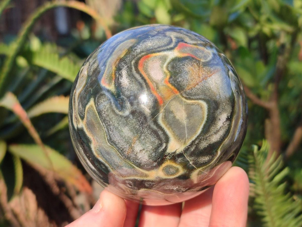 Polished Ocean Jasper Spheres x 2 From Northwest Coast, Madagascar - Toprock Gemstones and Minerals 