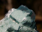 Natural Small Green Cubic Fluorite Specimens x 25 From Mandrosonoro, Madagascar - Toprock Gemstones and Minerals 