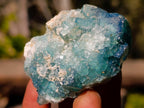 Natural Small Green Cubic Fluorite Specimens x 25 From Mandrosonoro, Madagascar - Toprock Gemstones and Minerals 