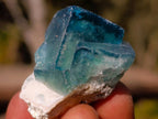 Natural Small Green Cubic Fluorite Specimens x 25 From Mandrosonoro, Madagascar - Toprock Gemstones and Minerals 