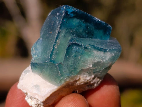Natural Small Green Cubic Fluorite Specimens x 25 From Mandrosonoro, Madagascar - Toprock Gemstones and Minerals 