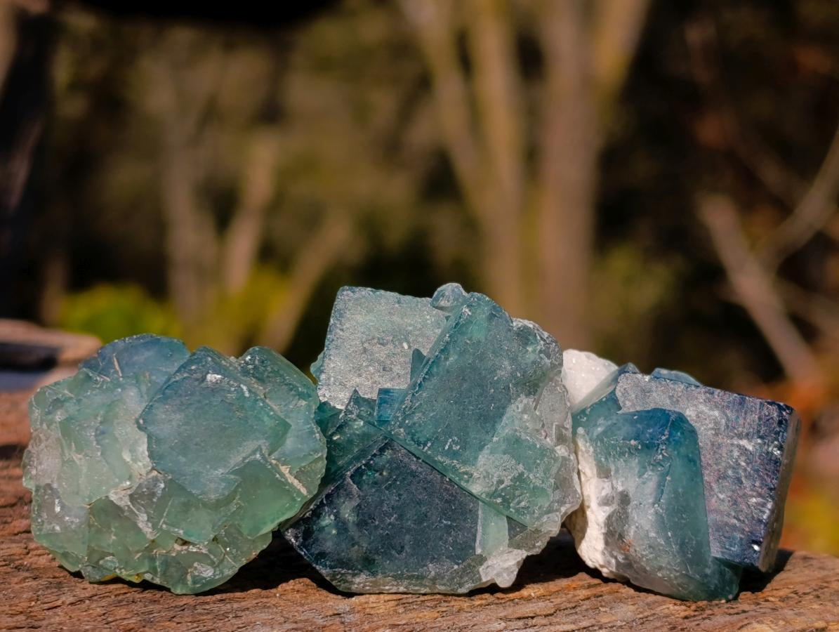 Natural Small Green Cubic Fluorite Specimens x 25 From Mandrosonoro, Madagascar - Toprock Gemstones and Minerals 