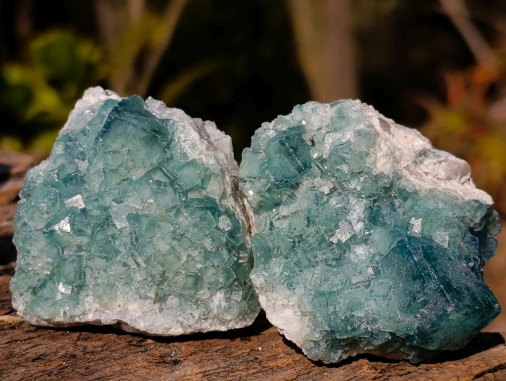 Natural Small Green Cubic Fluorite Specimens x 25 From Mandrosonoro, Madagascar - Toprock Gemstones and Minerals 