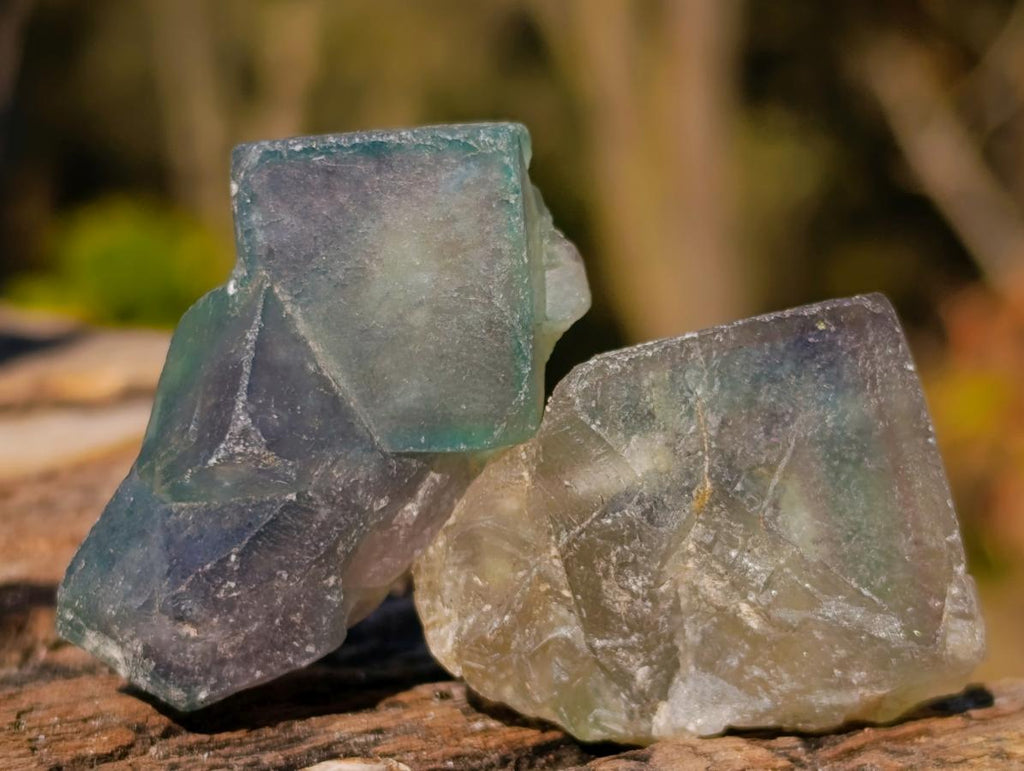 Natural Small Green Cubic Fluorite Specimens x 25 From Mandrosonoro, Madagascar - Toprock Gemstones and Minerals 