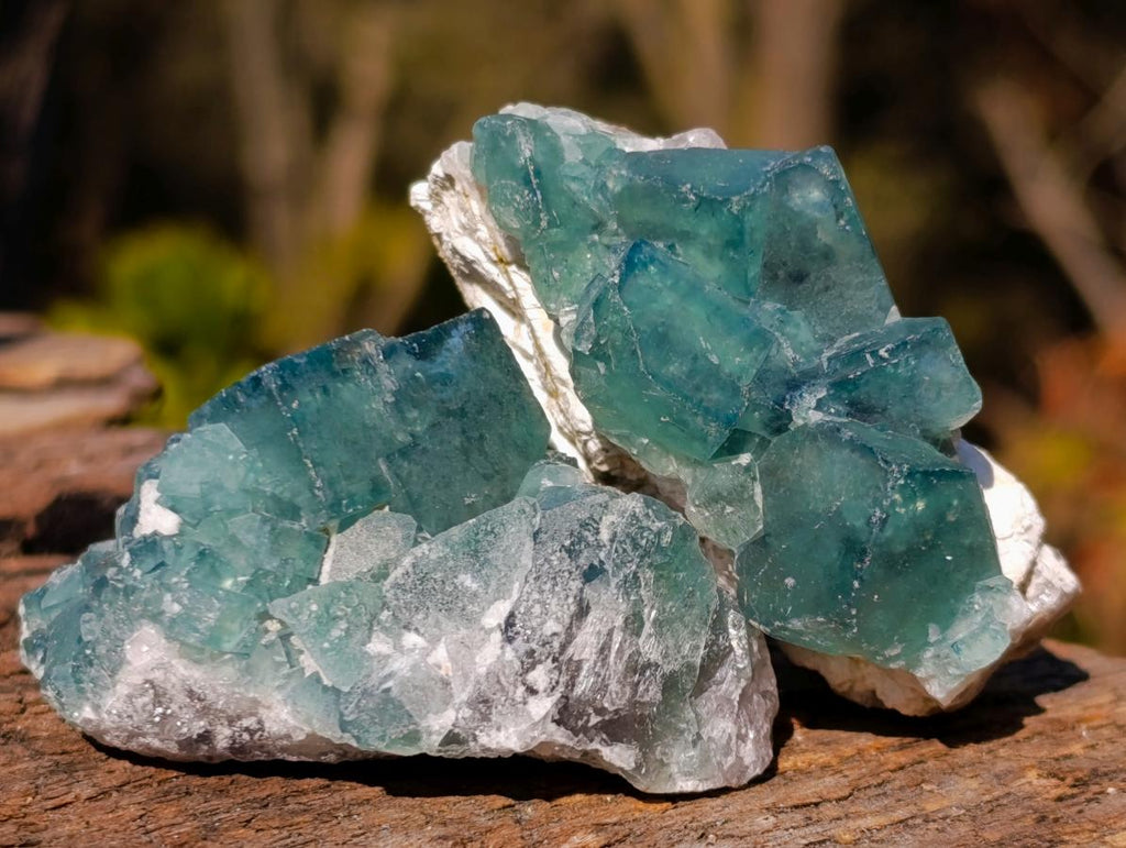 Natural Small Green Cubic Fluorite Specimens x 25 From Mandrosonoro, Madagascar - Toprock Gemstones and Minerals 