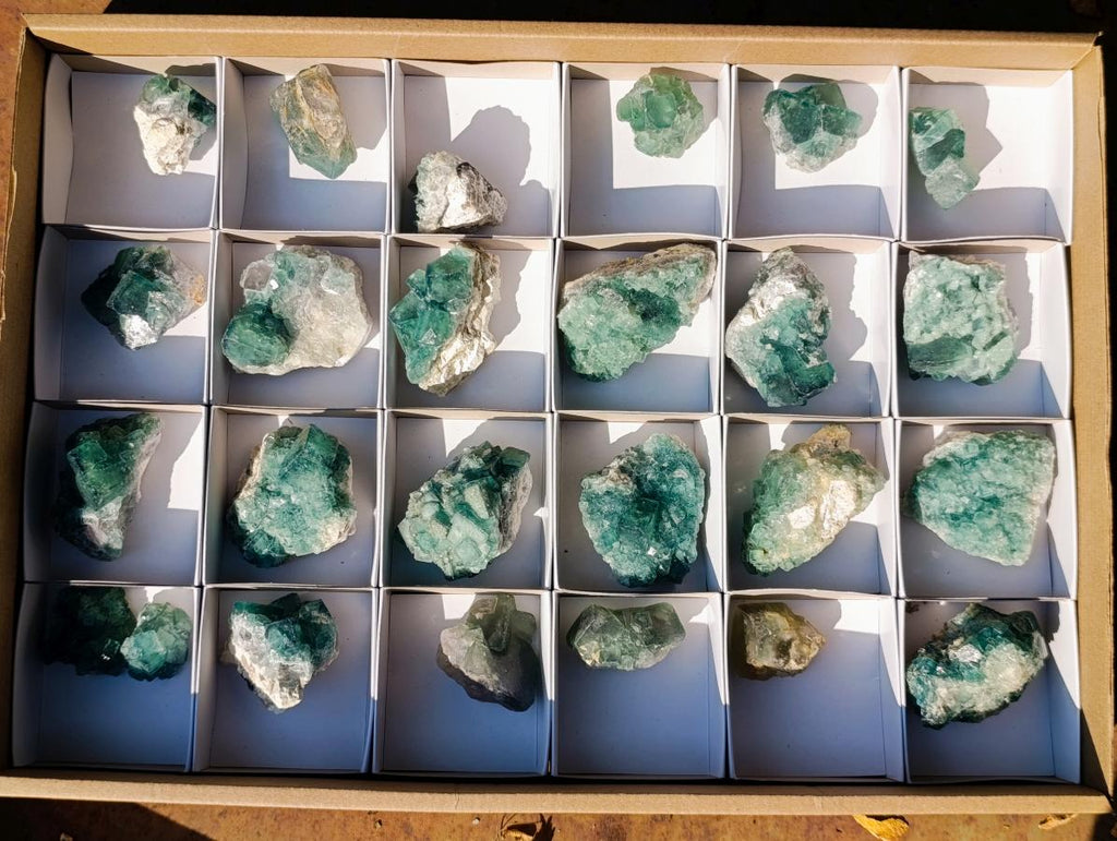 Natural Small Green Cubic Fluorite Specimens x 25 From Mandrosonoro, Madagascar - Toprock Gemstones and Minerals 