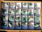 Natural Small Green Cubic Fluorite Specimens x 25 From Mandrosonoro, Madagascar - Toprock Gemstones and Minerals 