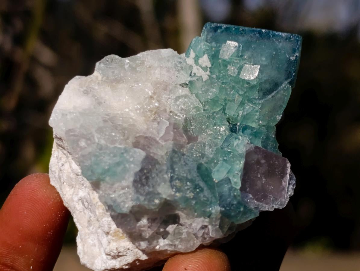 Natural Small Green Cubic Fluorite Specimens x 25 From Mandrosonoro, Madagascar - Toprock Gemstones and Minerals 