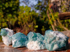 Natural Small Green Cubic Fluorite Specimens x 25 From Mandrosonoro, Madagascar - Toprock Gemstones and Minerals 