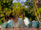 Natural Small Green Cubic Fluorite Specimens x 25 From Mandrosonoro, Madagascar - Toprock Gemstones and Minerals 