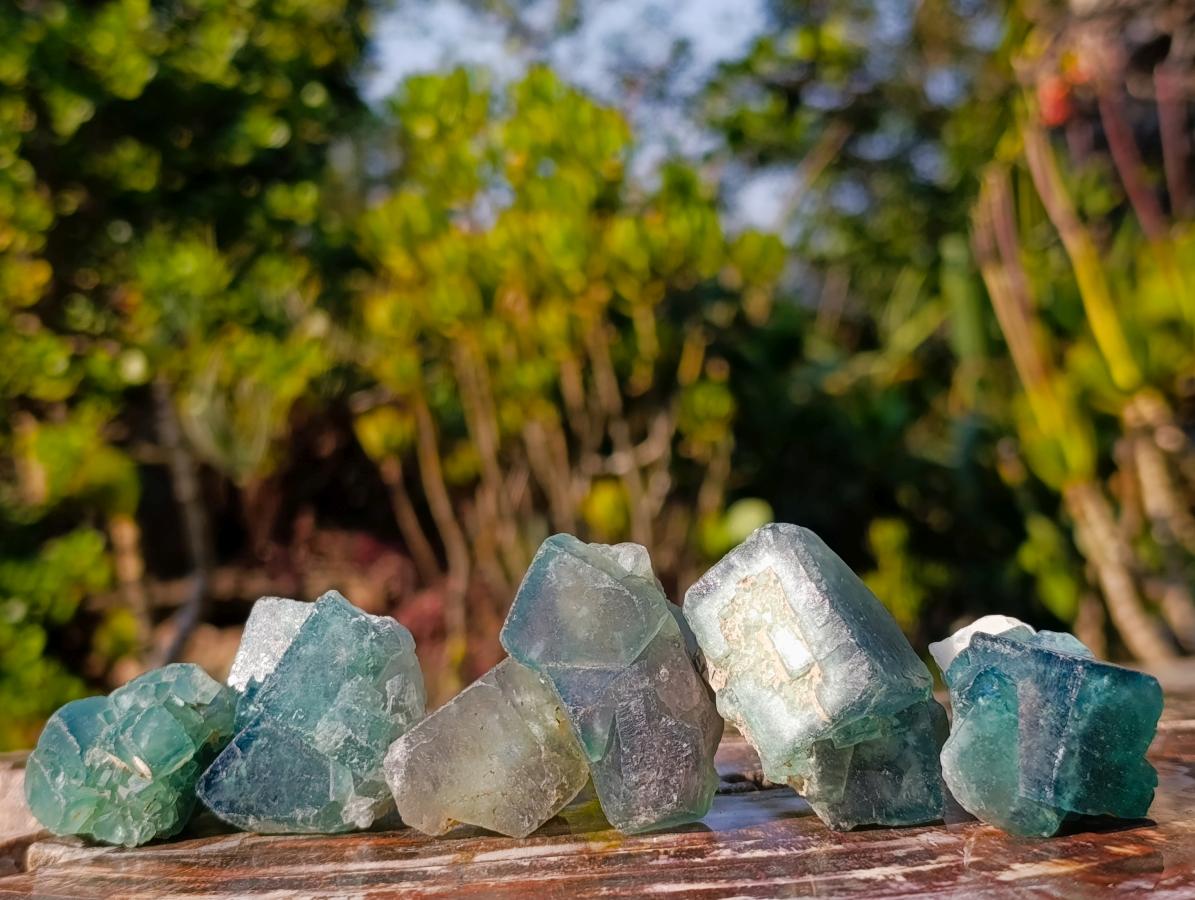 Natural Small Green Cubic Fluorite Specimens x 25 From Mandrosonoro, Madagascar - Toprock Gemstones and Minerals 