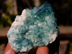 Natural Small Green Cubic Fluorite Specimens x 25 From Mandrosonoro, Madagascar - Toprock Gemstones and Minerals 