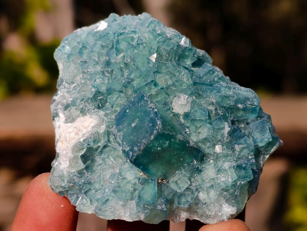 Natural Small Green Cubic Fluorite Specimens x 25 From Mandrosonoro, Madagascar - Toprock Gemstones and Minerals 