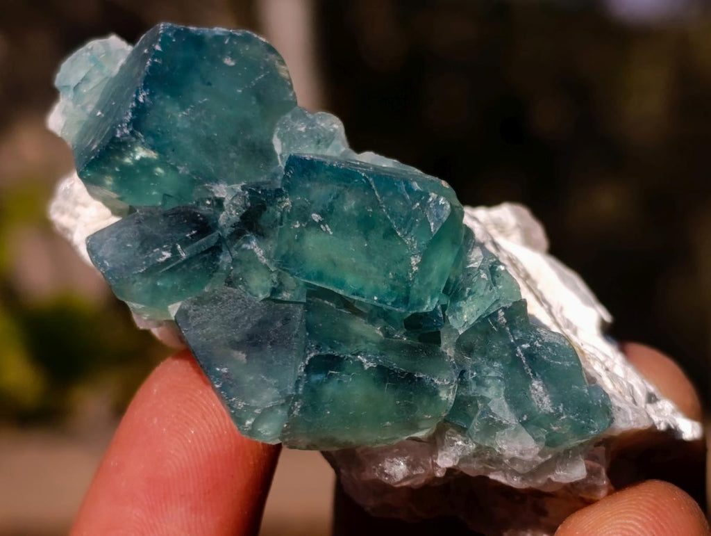 Natural Small Green Cubic Fluorite Specimens x 25 From Mandrosonoro, Madagascar - Toprock Gemstones and Minerals 