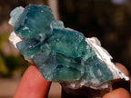 Natural Small Green Cubic Fluorite Specimens x 25 From Mandrosonoro, Madagascar - Toprock Gemstones and Minerals 