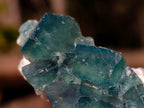 Natural Small Green Cubic Fluorite Specimens x 25 From Mandrosonoro, Madagascar - Toprock Gemstones and Minerals 