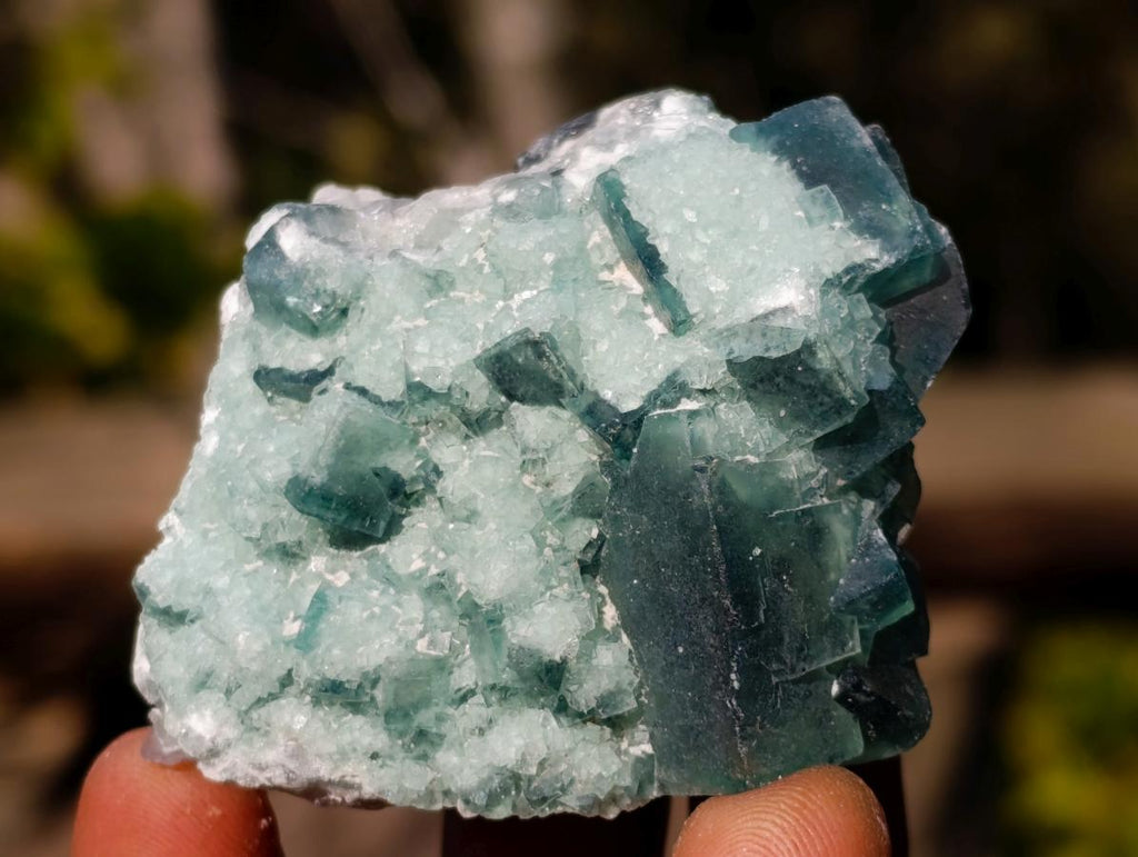 Natural Small Green Cubic Fluorite Specimens x 25 From Mandrosonoro, Madagascar - Toprock Gemstones and Minerals 