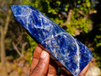 Polished Sodalite Display Crystals x 6 From Kunene River, Namibia - Toprock Gemstones and Minerals 