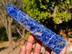 Polished Sodalite Display Crystals x 6 From Kunene River, Namibia - Toprock Gemstones and Minerals 