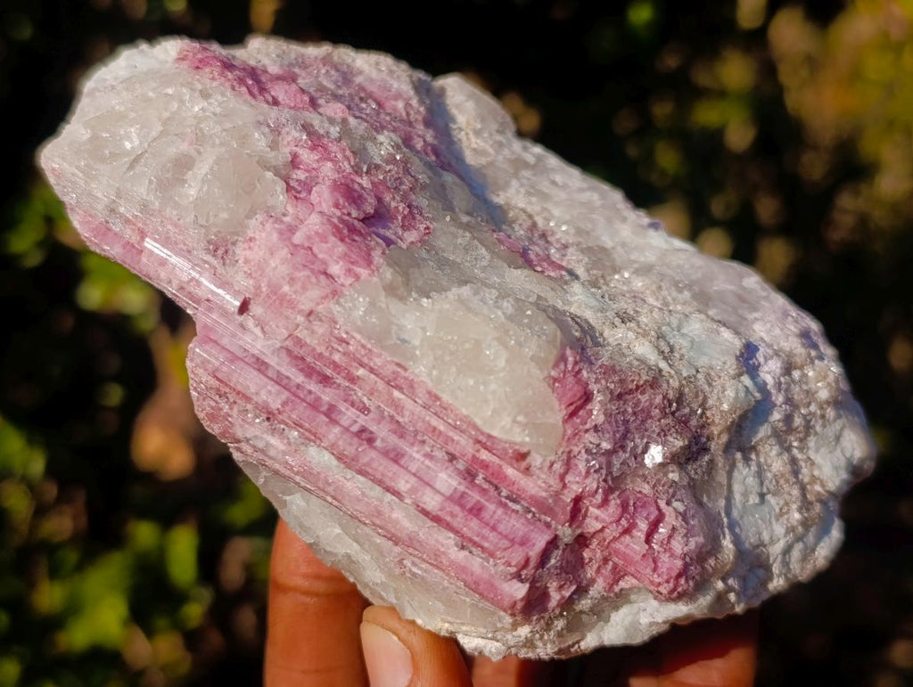 Natural Pink Rubellite Tourmaline Specimens x 2 From Karibib, Namibia - Toprock Gemstones and Minerals 