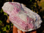 Natural Pink Rubellite Tourmaline Specimens x 2 From Karibib, Namibia - Toprock Gemstones and Minerals 