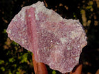 Natural Pink Rubellite Tourmaline Specimens x 2 From Karibib, Namibia - Toprock Gemstones and Minerals 
