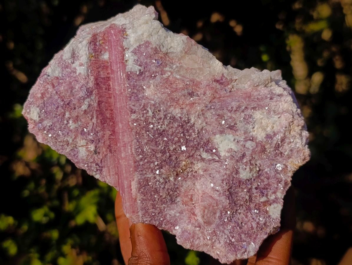 Natural Pink Rubellite Tourmaline Specimens x 2 From Karibib, Namibia - Toprock Gemstones and Minerals 