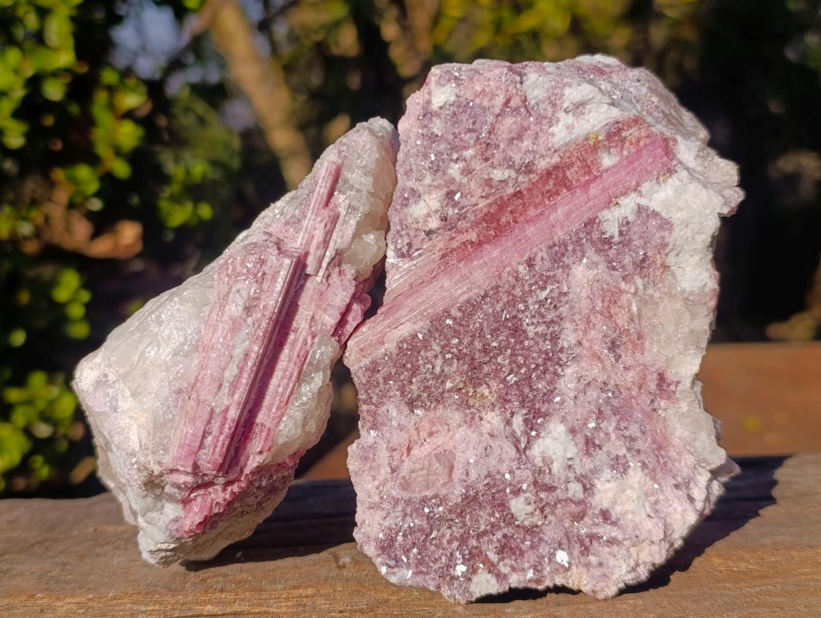 Natural Pink Rubellite Tourmaline Specimens x 2 From Karibib, Namibia - Toprock Gemstones and Minerals 