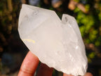 Natural Castle Quartz Crystals x 12 From Madagascar - Toprock Gemstones and Minerals 